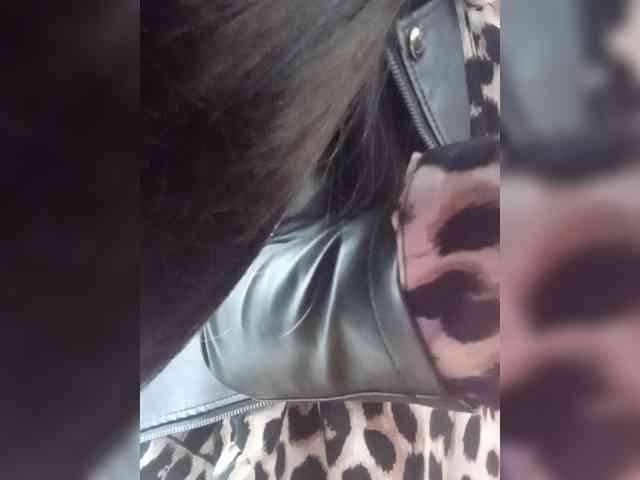 Bella-152 webcam