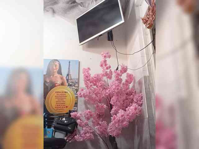 Bella-152 webcam