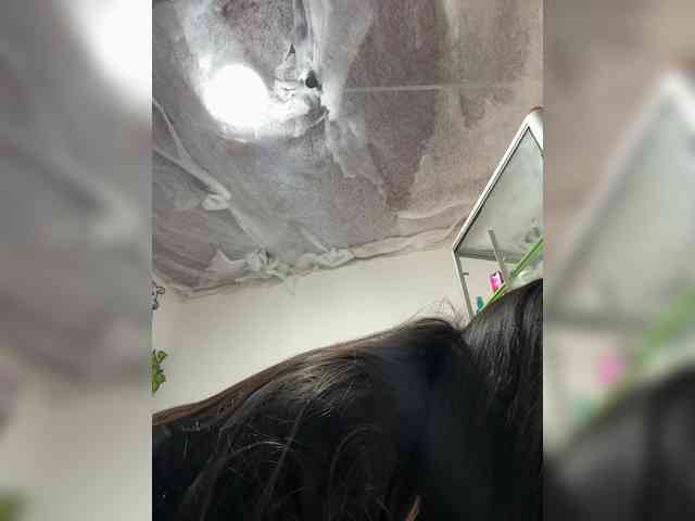 Bella-152 webcam