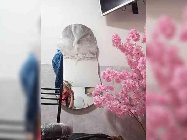 Bella-152 webcam