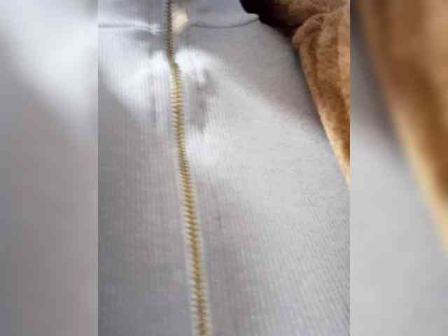 Bella-152 webcam