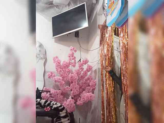 Bella-152 webcam