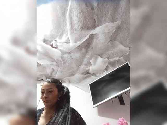 Bella-152 webcam