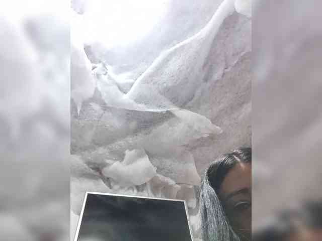 Bella-152 webcam