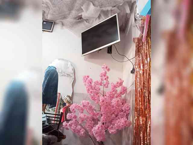 Bella-152 webcam