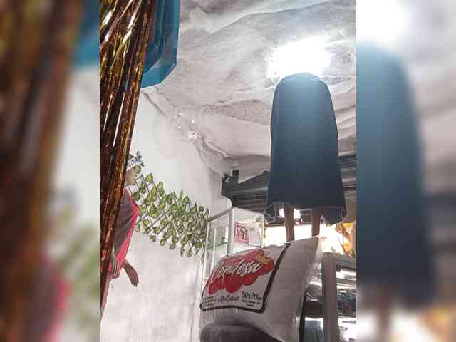 Bella-152 webcam