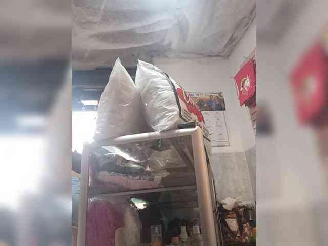 Bella-152 webcam