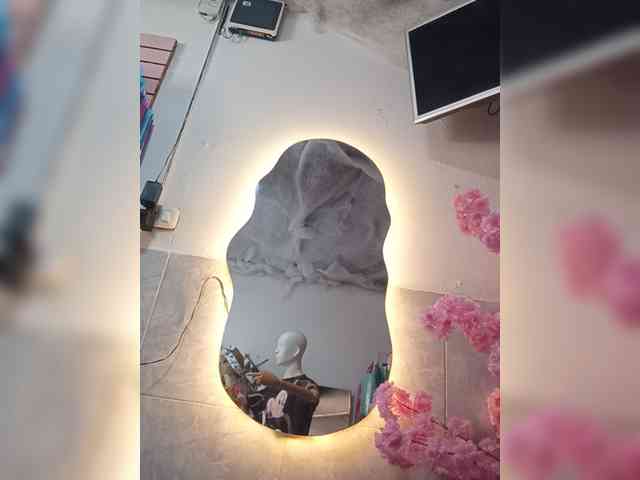 Bella-152 webcam