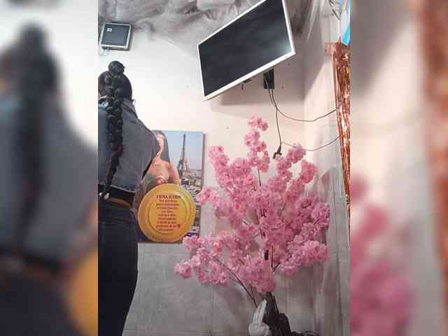 Bella-152 webcam