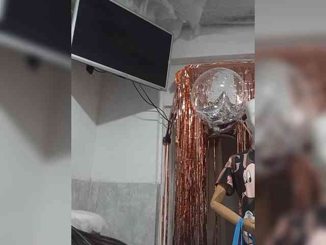 Bella-152 webcam