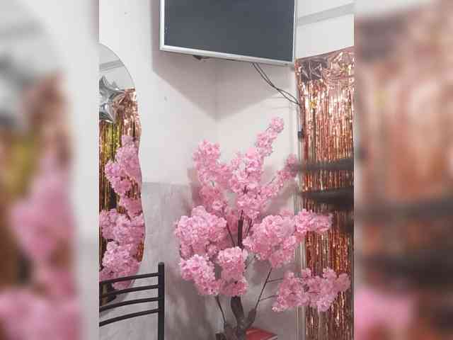 Bella-152 webcam