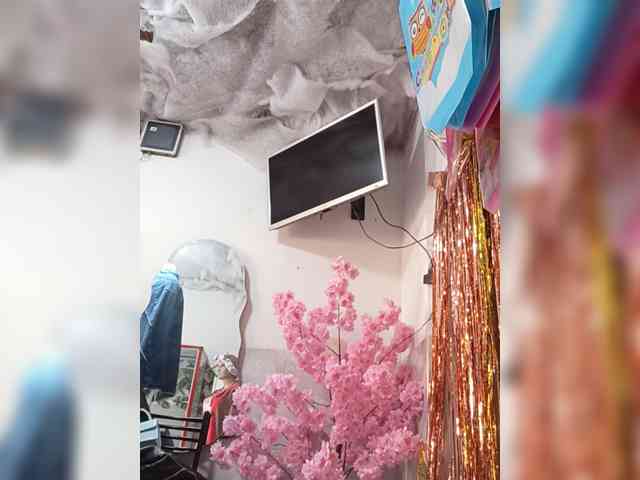 Bella-152 webcam