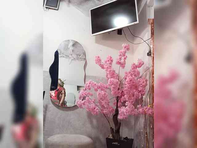 Bella-152 webcam