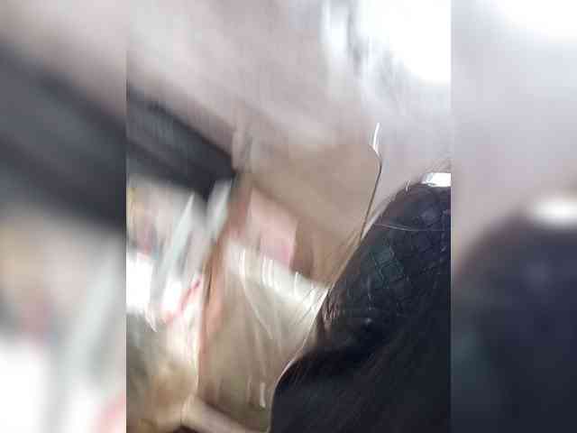 Bella-152 webcam