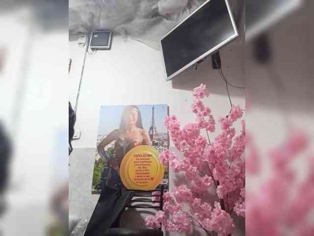 Bella-152 webcam