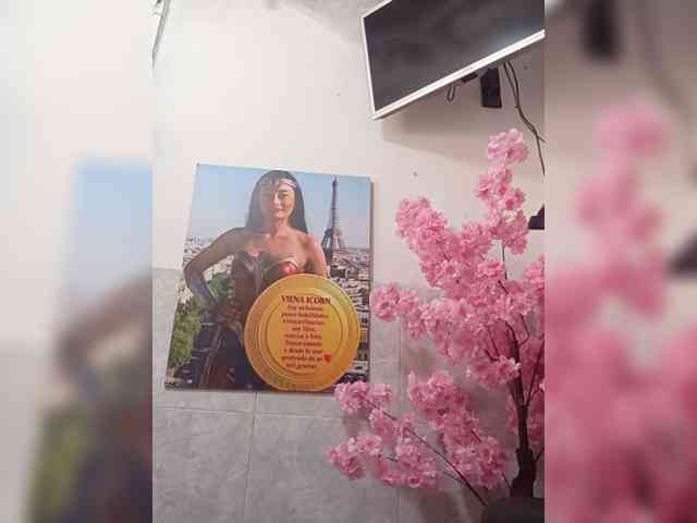Bella-152 webcam