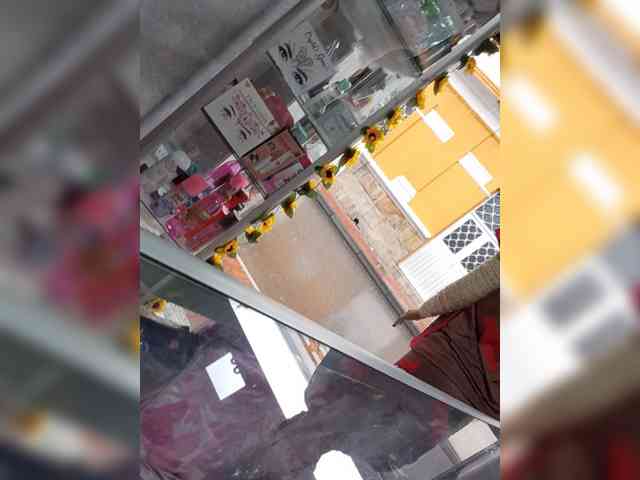 Bella-152 webcam