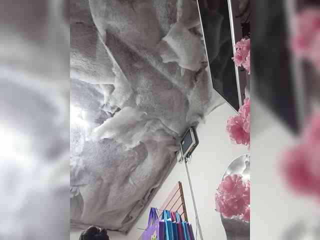 Bella-152 webcam