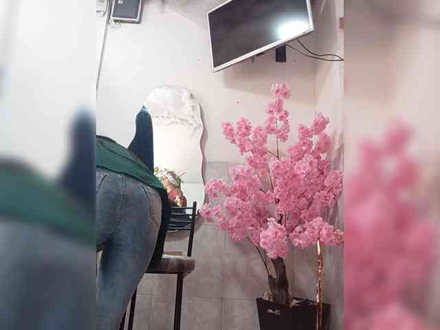 Bella-152 webcam