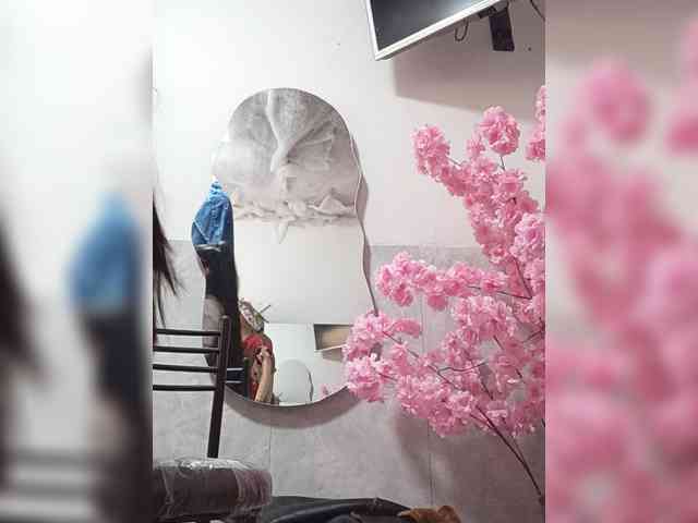 Bella-152 webcam