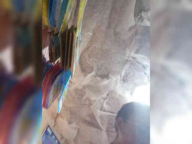 Bella-152 webcam