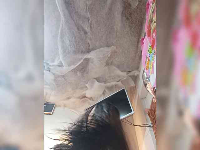 Model: Bella-152