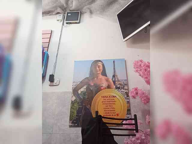 Bella-152 webcam