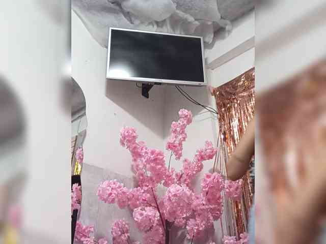 Bella-152 webcam