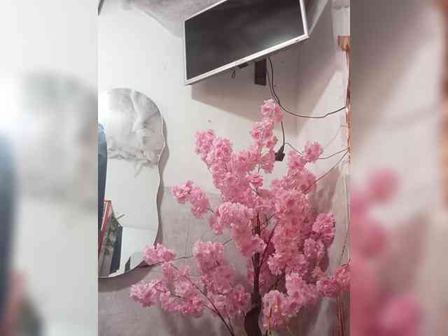 Bella-152 webcam