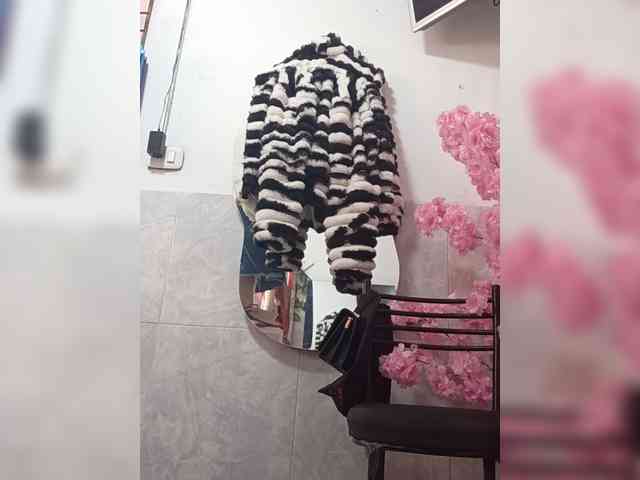 Bella-152 webcam