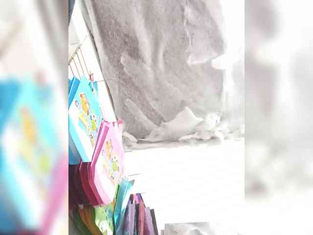 Bella-152 webcam