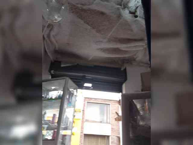 Bella-152 webcam