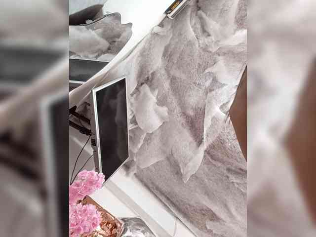 Bella-152 webcam