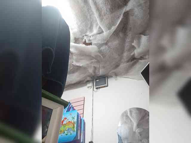 Bella-152 webcam