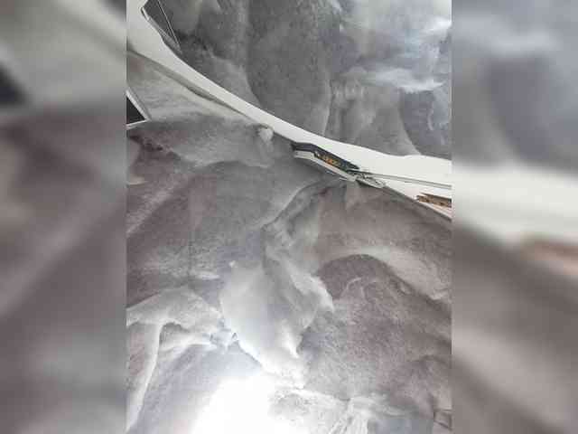 Bella-152 webcam