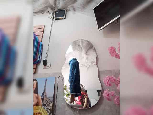 Bella-152 webcam