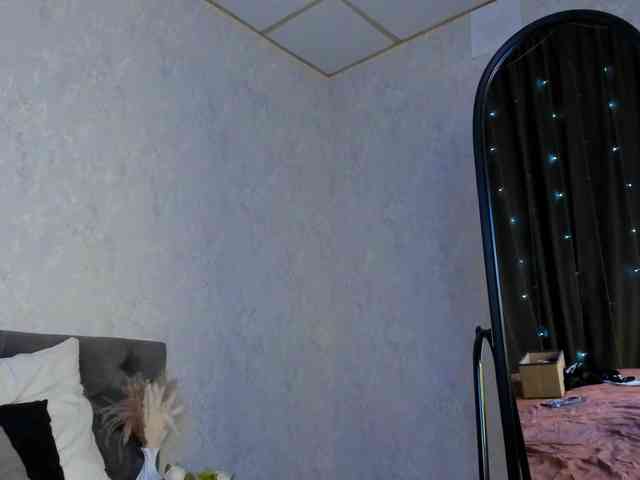 Scarle-Whisper webcam