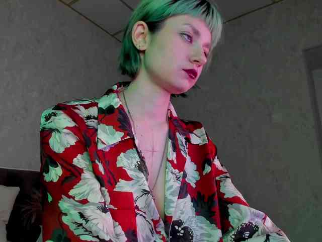 Scarle-Whisper webcam