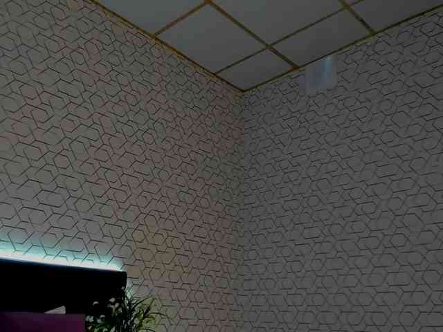 Scarle-Whisper webcam