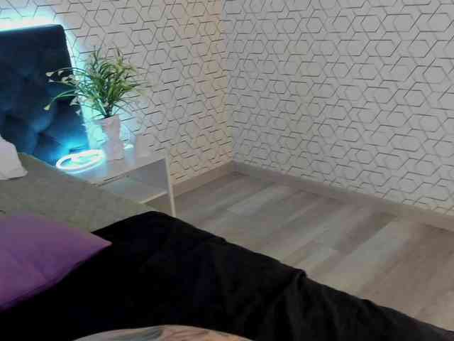 Scarle-Whisper webcam