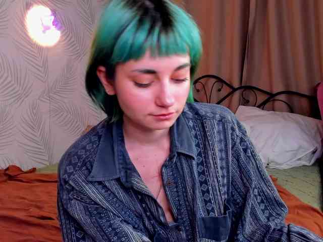 Scarle-Whisper webcam