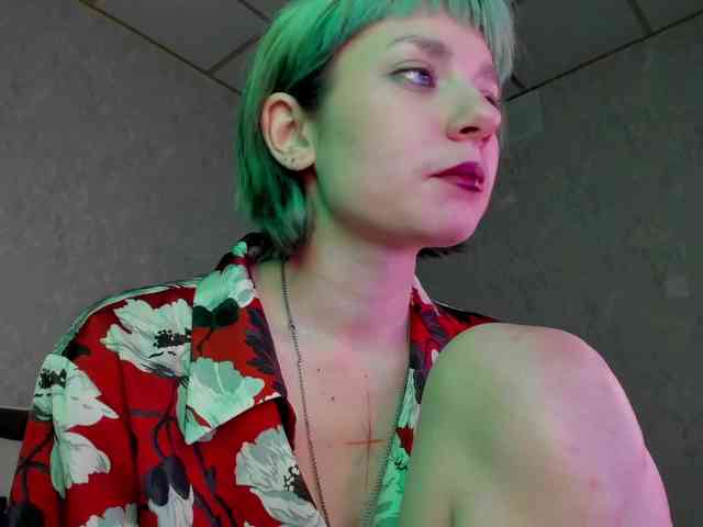 Scarle-Whisper webcam