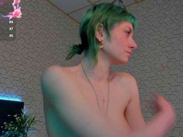 Scarle-Whisper webcam