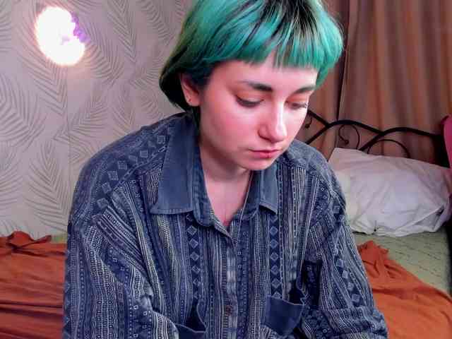 Scarle-Whisper webcam