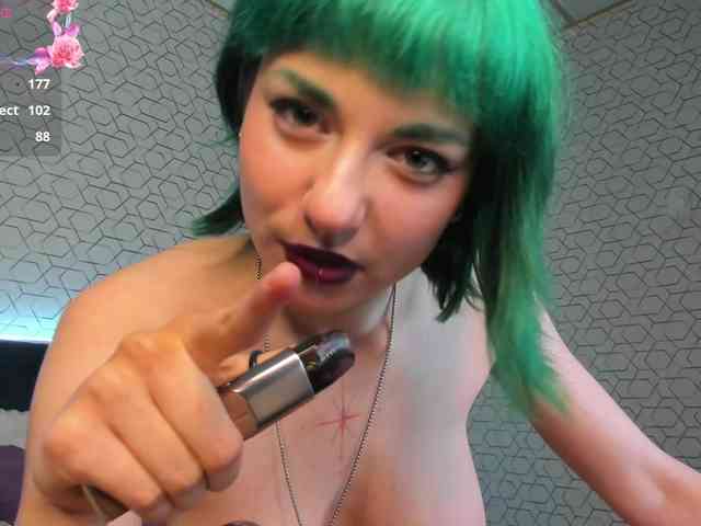 Scarle-Whisper webcam