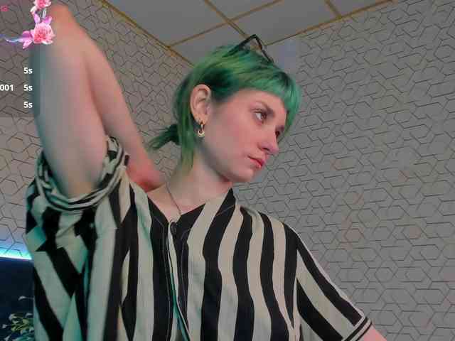 Scarle-Whisper webcam