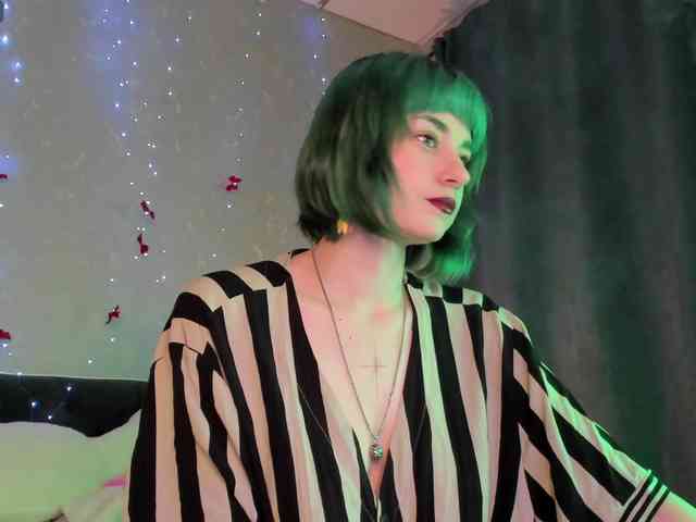 Scarle-Whisper webcam