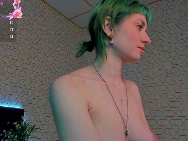 Scarle-Whisper webcam