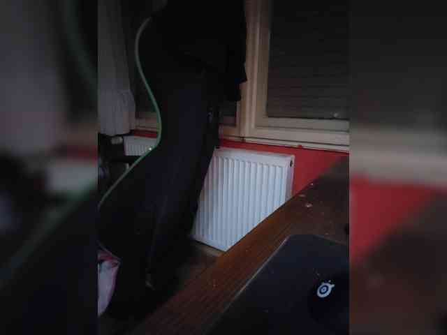 Bumslaappaa