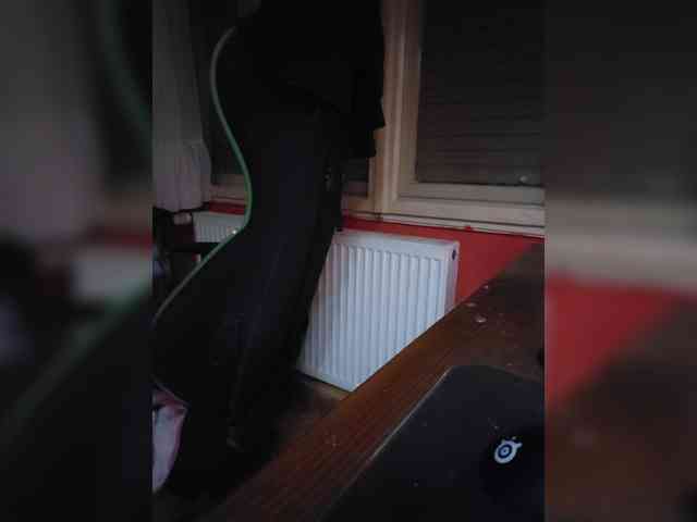 Bumslaappaa
